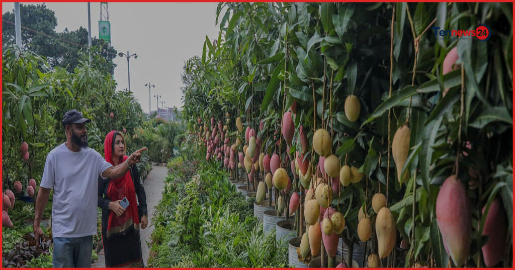 রাজধানীর আগারগাঁওয়ে শুরু হলো মাসব্যাপী জাতীয় বৃক্ষমেলা ২০২৬