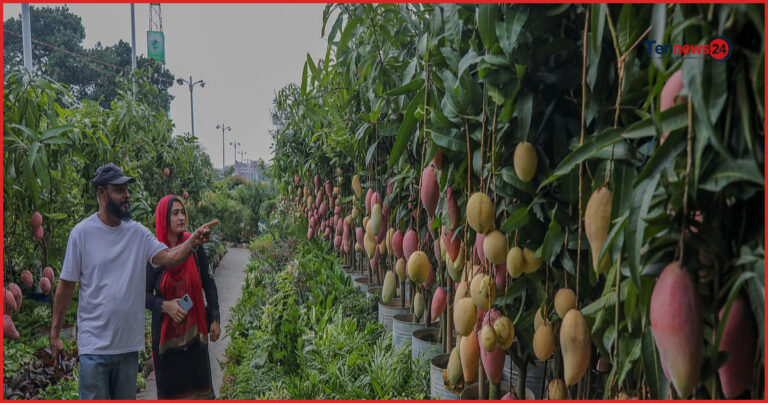 রাজধানীর আগারগাঁওয়ে শুরু হলো মাসব্যাপী জাতীয় বৃক্ষমেলা ২০২৬