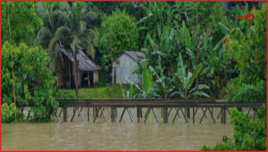 আগামী ৪৮ ঘণ্টায় দেশের আরও ৫ জেলায় বন্যার পূর্বাভাস