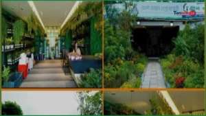 জাতীয় বৃক্ষমেলায় দর্শনার্থীদের আকর্ষণের কেন্দ্রে আলী-জাহান অ্যাগ্রো