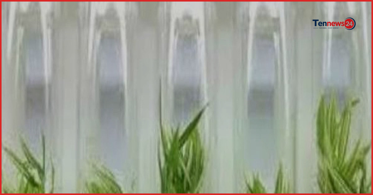 টিস্যু কালচার প্রযুক্তিতে দেশে বাড়ছে উচ্চমূল্যের ফসলের উন্নত চারা উৎপাদন