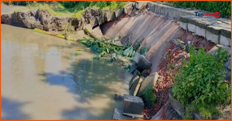 তিস্তার তীব্র ভাঙনে গঙ্গাচড়ায় ইউনিয়ন পরিষদ ভবনসহ এলাকা হুমকির মুখে