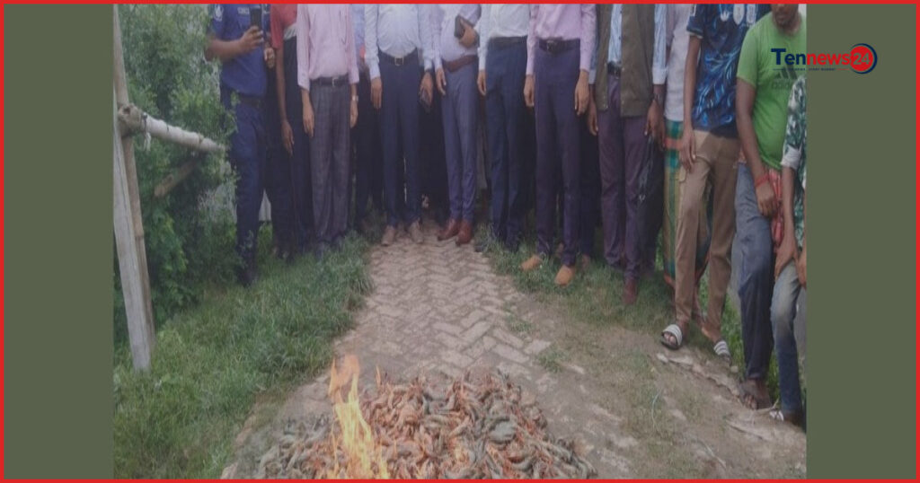 দেবহাটায় ১০০ কেজি জেলি-পুশকৃত চিংড়ি জব্দ, তিন ব্যবসায়ীকে জরিমানা