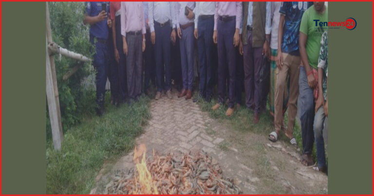 দেবহাটায় ১০০ কেজি জেলি-পুশকৃত চিংড়ি জব্দ, তিন ব্যবসায়ীকে জরিমানা