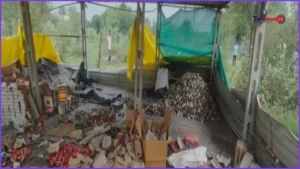 ভারতের আহমেদাবাদে অবৈধ আতশবাজি কারখানায় বিস্ফোরণে নিহত ৮