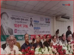 সুষ্ঠু নির্বাচন হলে বিরোধী দলে থাকতাম আমরা: আনিসুল ইসলাম মাহমুদ