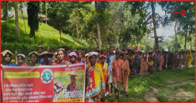 কুলাউড়ায় চা-শ্রমিকদের দৈনিক ৫০০ টাকা মজুরির দাবিতে বিক্ষোভ সমাবেশ