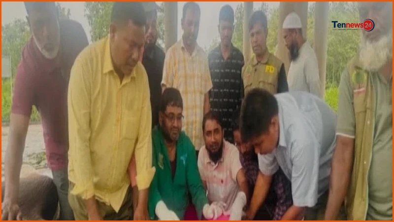 গাজীপুর সাফারি পার্কে দুই হাতির মৃত্যু