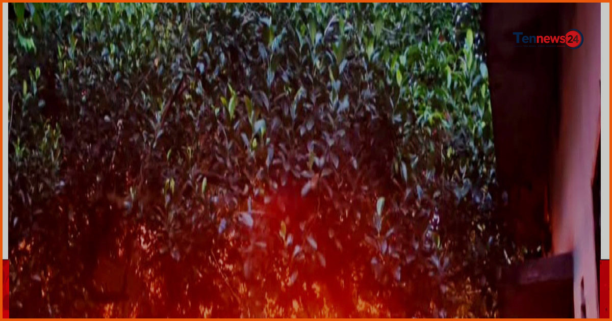 গাজীপুরে ঝুটের গোডাউনের আগুন নিয়ন্ত্রণে, ক্ষয়ক্ষতি ব্যাপক