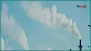 গ্যাস ও বিদ্যুৎ সংকটে শিল্পকারখানায় ভয়াবহ স্থবিরতা