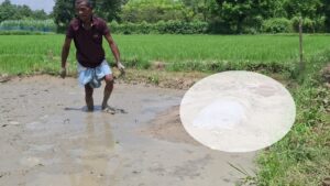জমি নিয়ে বিরোধে ২০ ঘণ্টা বারান্দায় পড়ে ছিল বৃদ্ধার মরদেহ