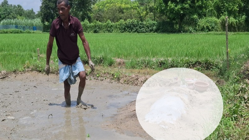 জমি নিয়ে বিরোধে ২০ ঘণ্টা বারান্দায় পড়ে ছিল বৃদ্ধার মরদেহ