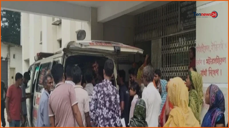 ঝিনাইদহে ঘাস কাটার মেশিনে বিদ্যুৎস্পৃষ্টে স্বামী-স্ত্রীর মৃত্যু