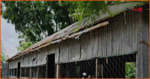 ঝুঁকির মুখে পাবনার বি বি দাখিল মাদ্রাসার শতাধিক শিক্ষার্থীর পাঠদান