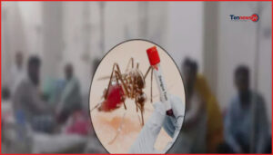 দেশে ডেঙ্গুতে আরও ২ জনের মৃত্যু, হাসপাতালে ভর্তি ৯৯৬ জন