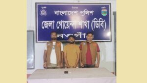 নওগাঁয় সাইবার অপরাধে যুবক গ্রেফতার, ডিবির বিশেষ অভিযান