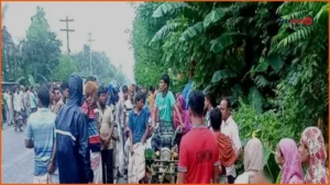 নাটোরে অ্যাম্বুলেন্স-ভ্যান-ভটভটির ত্রিমুখী সংঘর্ষে নিহত ১