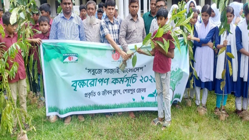 নালিতাবাড়ীতে প্রকৃতি ও জীবন ক্লাবের বৃক্ষরোপণ ও চারা বিতরণ