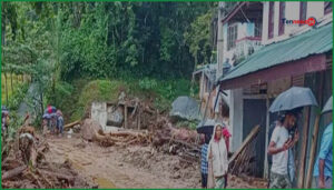 শ্রীলঙ্কায় প্রবল বৃষ্টি ও ভূমিধসে অন্তত সাতজনের প্রাণহানি