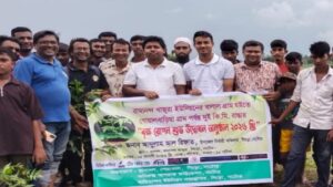 সিংড়ায় দুই কিলোমিটার সড়কে বৃক্ষরোপণ কর্মসূচি পালন