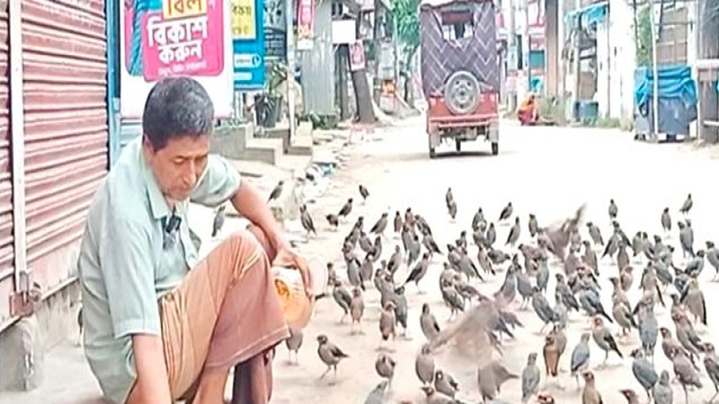 সিরাজগঞ্জের বুদ্ধ: ১০ বছর ধরে বাঁশির সুরে পাখিদের খাওয়ানো মানুষ