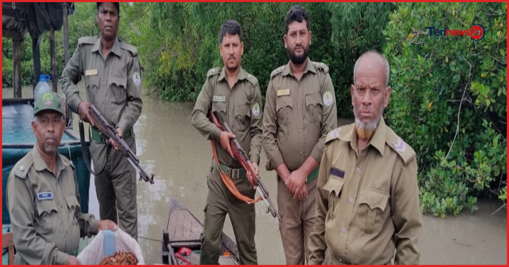 সুন্দরবনে বনরক্ষীদের অভিযানে অবৈধ শুঁটকি মাছা ও নৌকা জব্দ