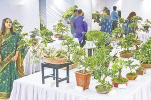 রাজধানীতে শুরু হলো ২৫তম বার্ষিক বনসাই প্রদর্শনী