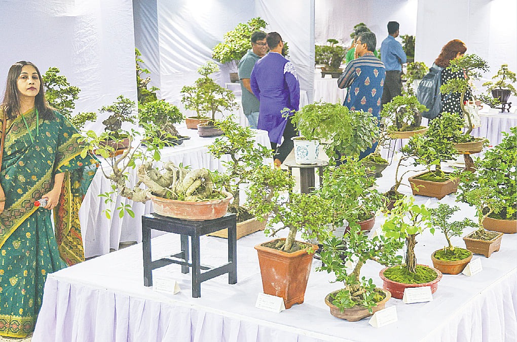 রাজধানীতে শুরু হলো ২৫তম বার্ষিক বনসাই প্রদর্শনী