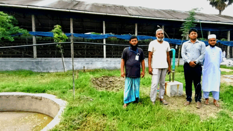 কালীগঞ্জে পোলট্রি বর্জ্য থেকে জ্বালানি উৎপাদন, সাশ্রয়ী উদ্যোগ