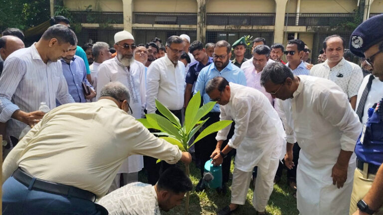 চাঁদপুর ডিসি কার্যালয় প্রাঙ্গণে বৃক্ষরোপণ করলেন হুইপ আশ্রাফ উদ্দিন