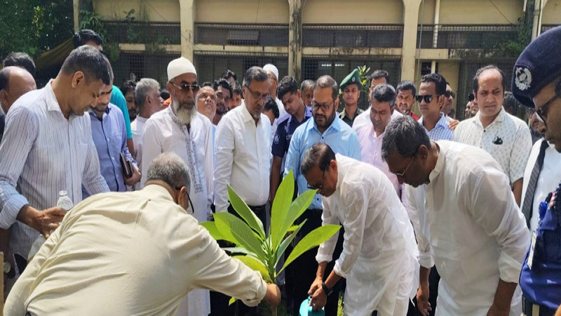 চাঁদপুর ডিসি কার্যালয় প্রাঙ্গণে বৃক্ষরোপণ করলেন হুইপ আশ্রাফ উদ্দিন