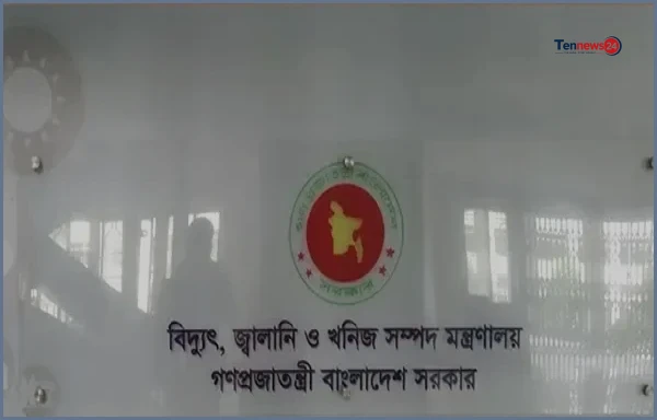 ছাদভিত্তিক সৌরবিদ্যুতে বিশেষ প্রণোদনা প্যাকেজ ঘোষণা করল সরকার