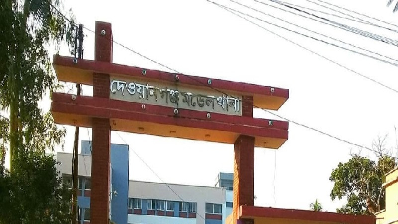 জামালপুরে বিদ্যুৎস্পৃষ্ট হয়ে মা ও ছেলের মৃত্যু, আহত দাদি
