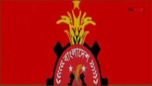 ডেঙ্গু প্রতিরোধে ৭ দিনের বিশেষ কর্মসূচি ঘোষণা যুবদলের