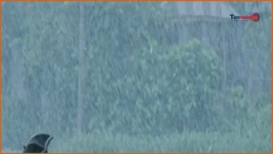 দেশজুড়ে আরও পাঁচদিন বৃষ্টির পূর্বাভাস দিল আবহাওয়া অধিদপ্তর