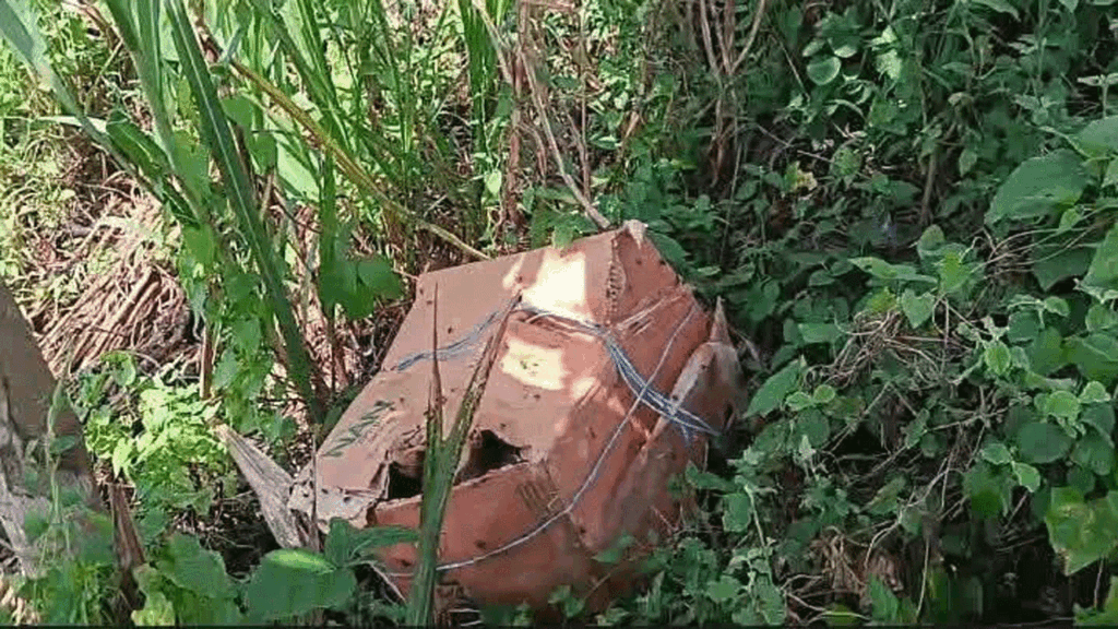 ফরিদপুরের মধুখালীতে কার্টনভর্তি ছয় টুকরো লাশ উদ্ধার