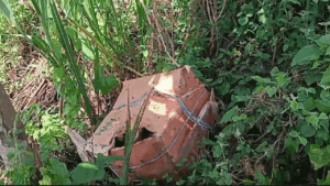 ফরিদপুরের মধুখালীতে কার্টনভর্তি ছয় টুকরো লাশ উদ্ধার