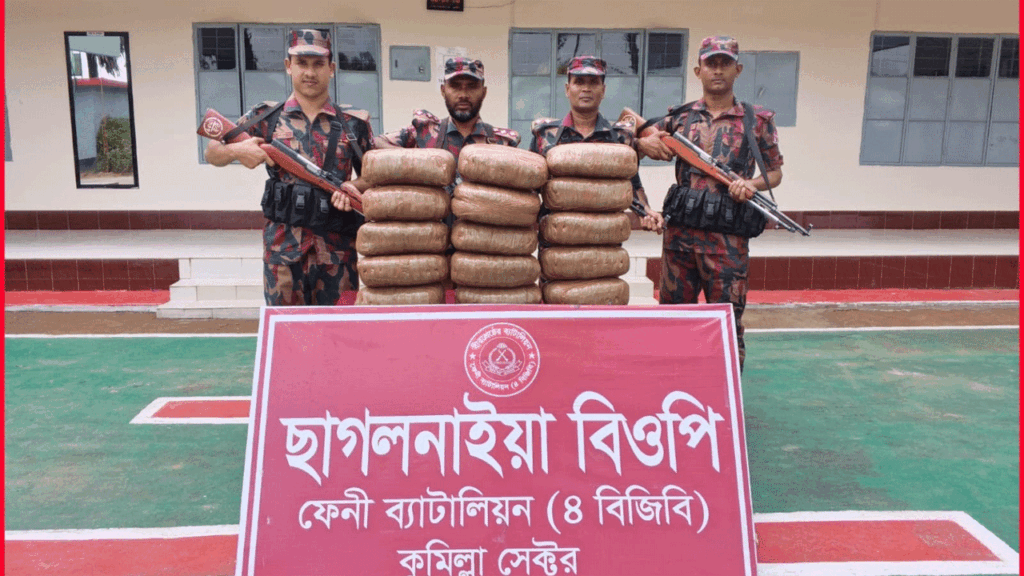 ফেনীর ছাগলনাইয়ায় বিজিবির অভিযানে সাড়ে ৩৫ কেজি গাঁজা জব্দ