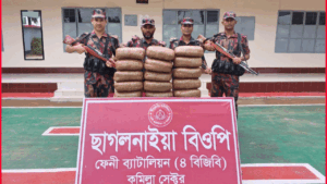 ফেনীর ছাগলনাইয়ায় বিজিবির অভিযানে সাড়ে ৩৫ কেজি গাঁজা জব্দ
