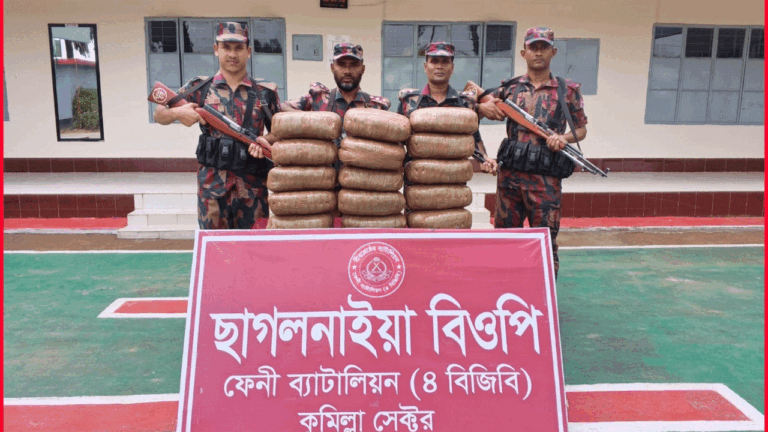 ফেনীর ছাগলনাইয়ায় বিজিবির অভিযানে সাড়ে ৩৫ কেজি গাঁজা জব্দ