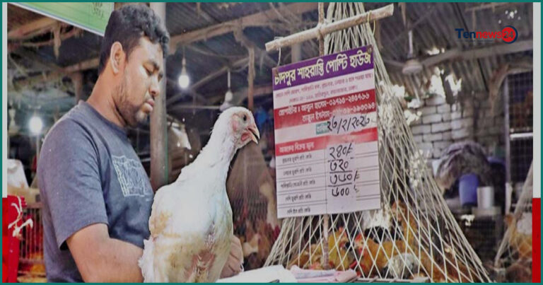 রাজধানীর বাজারে সবজি, ডিম ও মুরগির দাম আবারও ঊর্ধ্বমুখী
