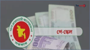 সরকারি চাকরিজীবীদের পেনশন বৃদ্ধিতে নতুন সিদ্ধান্ত, বাড়বে ১০০ শতাংশ পর্যন্ত