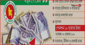 সরকারি চাকুরেদের সুযোগ-সুবিধায় বড় পরিবর্তন, নতুন বেতন কাঠামোর অনুমোদন