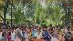 সুনামগঞ্জে গরু চুরির অভিযোগে তিনজনকে মধ্যযুগীয় কায়দায় নির্যাতন