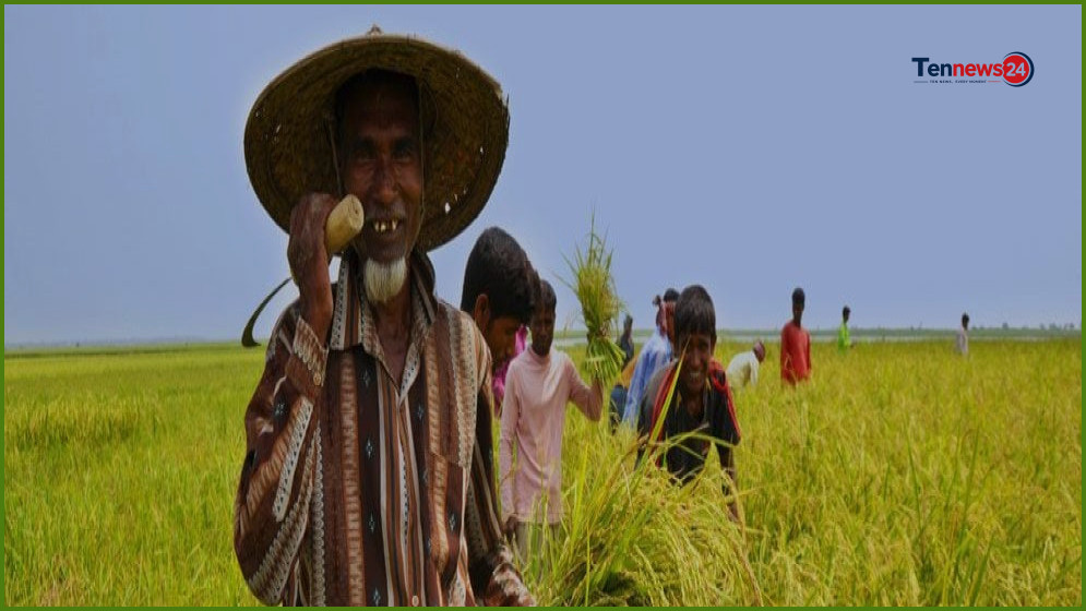 ১৪ লাখ কৃষকের কৃষিঋণ সুদসহ মওকুফ করল সরকার