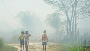 ইন্দোনেশিয়ায় দাবানলের ধোঁয়ায় সেপ্টেম্বর মাসে ৫ হাজার ৩১০ জনের মৃত্যু