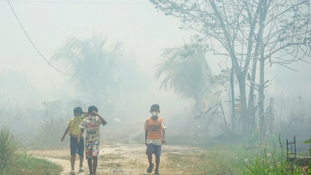 ইন্দোনেশিয়ায় দাবানলের ধোঁয়ায় সেপ্টেম্বর মাসে ৫ হাজার ৩১০ জনের মৃত্যু