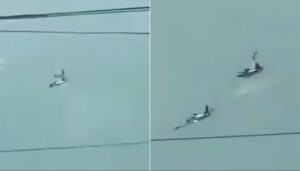 ফিলিপাইনে প্রশিক্ষণ বিমান সংঘর্ষে চার পাইলট নিহত