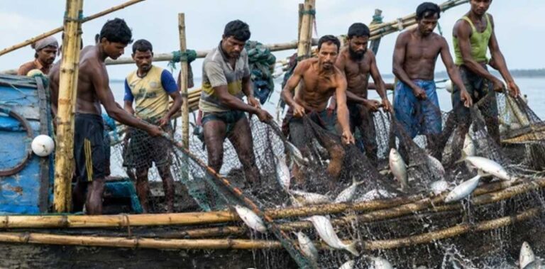 ইলিশের ভরা মৌসুমে সাড়ে ৬ লাখ জেলের জন্য ভিজিএফ