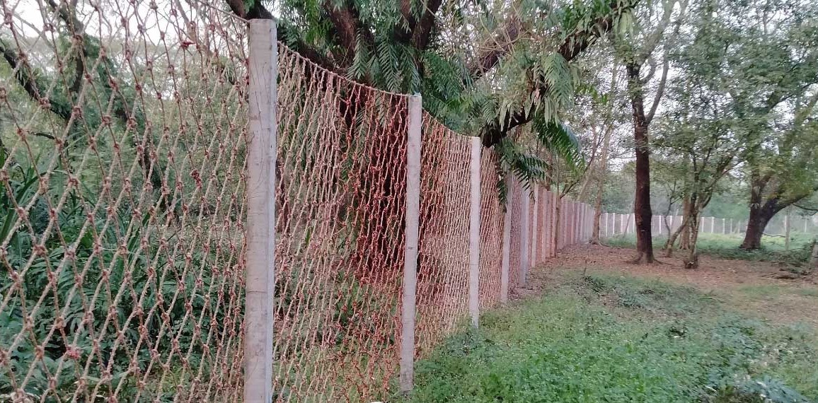 সুন্দরবনে বাঘ-মানুষের সংঘাত কমাতে কার্যকর নাইলনের বেড়া